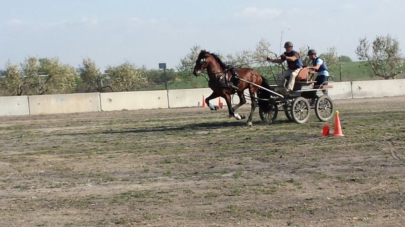 Inicio de la temporada de enganches